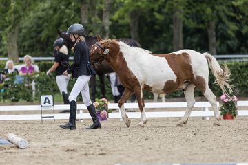 Bild 71 - Pony Akademie Turnier